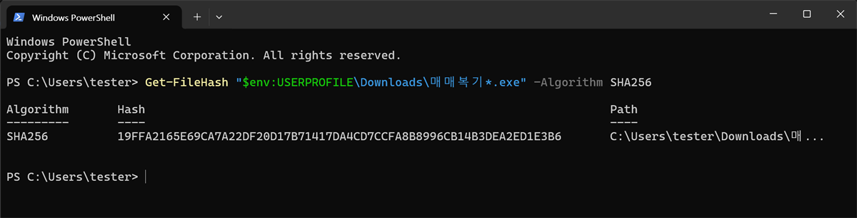 PowerShell 창에 지문 값이 나온 모습